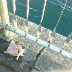 またまた行ってしまいました